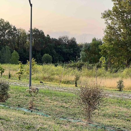 Scacco Matto Daire Lido di Scacchi Dış mekan fotoğraf